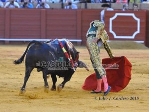 11173713_945624688802051_26363233_n