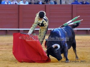 11173718_945624655468721_560616718_n