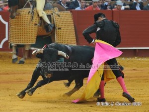 11178486_945624455468741_1718545501_n