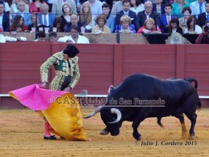 11185755_945624642135389_455421927_n