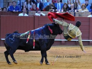 11186453_945624698802050_739234711_n