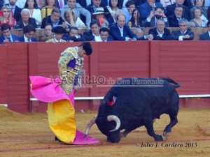 11195336_945624658802054_2145524394_n