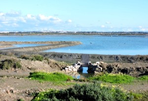 Una zona del Parque Natural contiguo a La Isla.