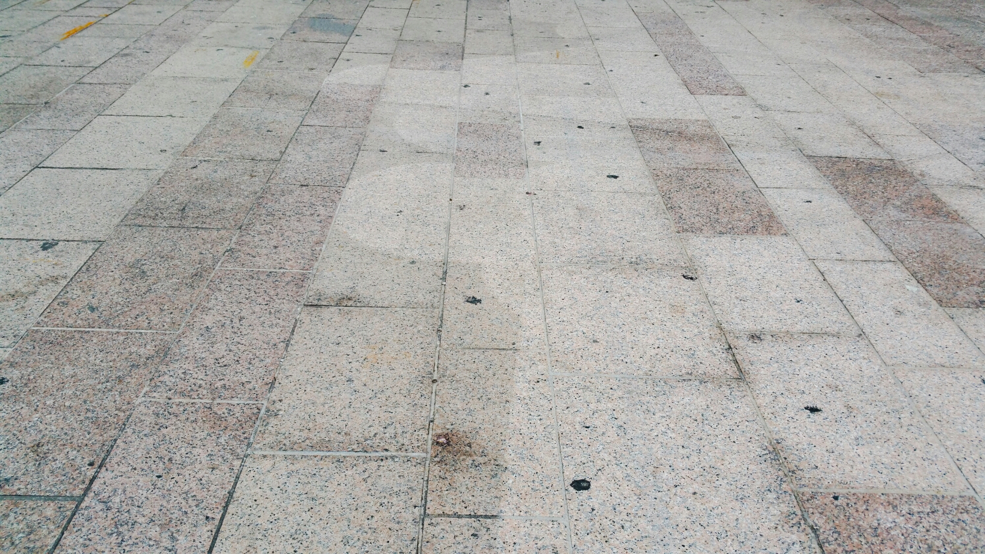 wpid-psx_20150409_121109.jpg image