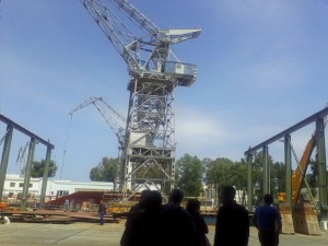 811711867_39335_12689529641466143094