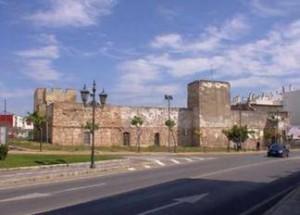 El Museo fue un organismo fundamental durante las excavaciones en San Romualdo.