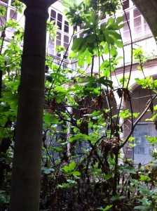 Aspecto que presentaba el patio interior de Lazaga.