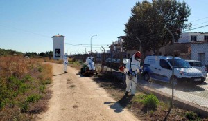 desinsectacion cefot