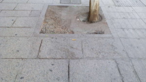 ALCORQUE  DETERIORADO