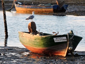 La playa, en la bajamar.