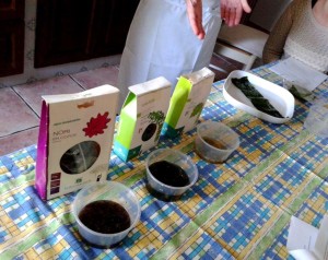 Preparando los ingredientes.