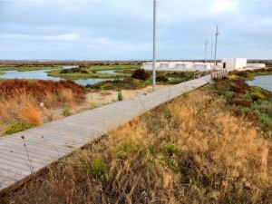 Batería de San Pedro, junto al Puente Suazo.