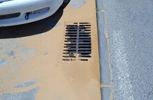 Albero la Ronda del Estero.