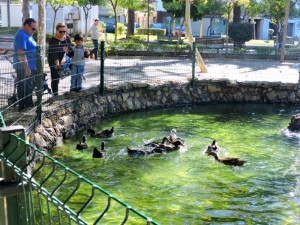 Tradicional estampa, que a veces pasa desapercibida.