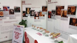 exposicion vida aborto cero