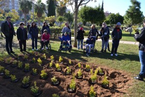 romero plantacion upace