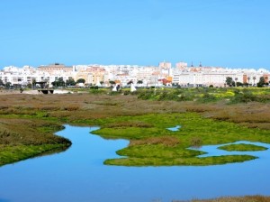 El borde 'Este' de La Isla, desde el Carrascón.