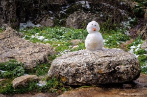 Nieve en El Torcal, por Ignacio EscuÃn.