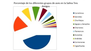 Tarta de porcentajes.