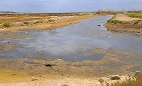 Vista de los caños y marismas.