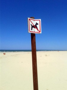 PROHIBICIONES EN CORTADURA II