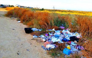 Algunas zonas del Parque Natural son utilizadas como vertedero.