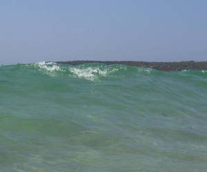 Los tsunamis difieren de las olas normales en su dinámica, movimiento, y origen en su formación. 
