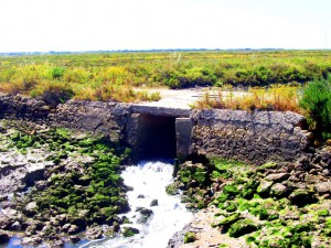 Las compuertas permiten jugar con la cantidad de agua en los distintos sectores de las salinas.