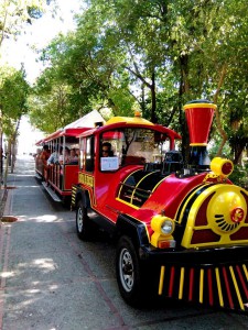 tren-turistico-24-s