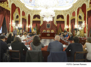 Pleno de Diputación