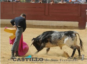 ElCastillodeSanFernando. XVII Encuentro andaluz.