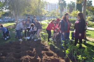 upace-plantacion-arboles