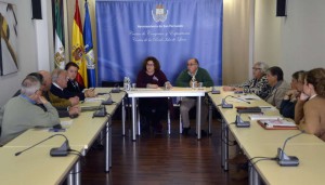 consejo local mayor