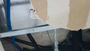 Techo centro de adultos 